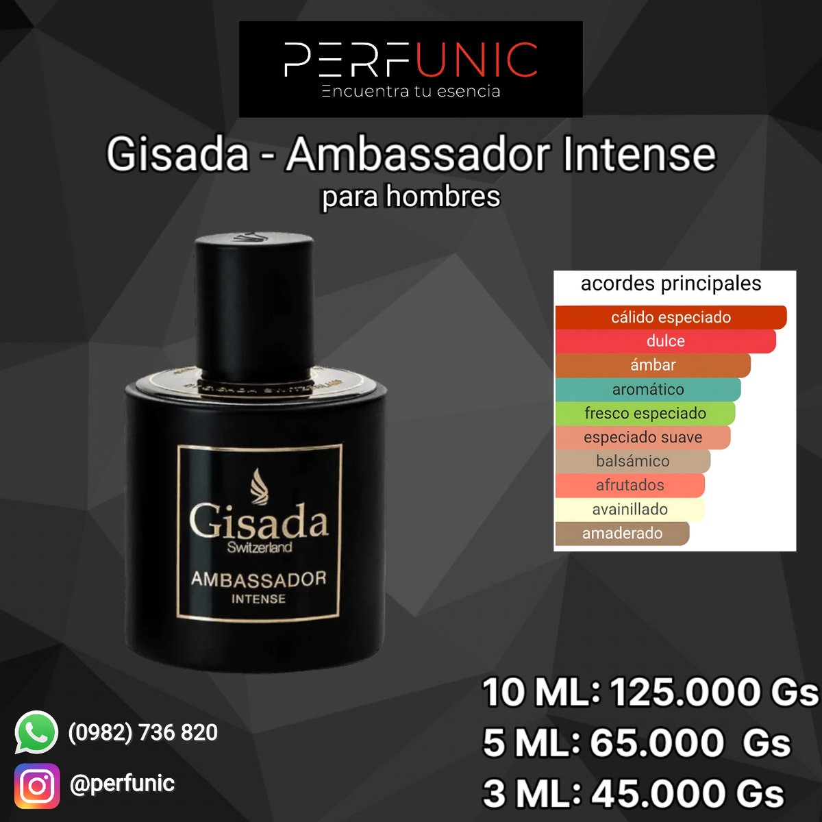 Gisada Ambassador Intense