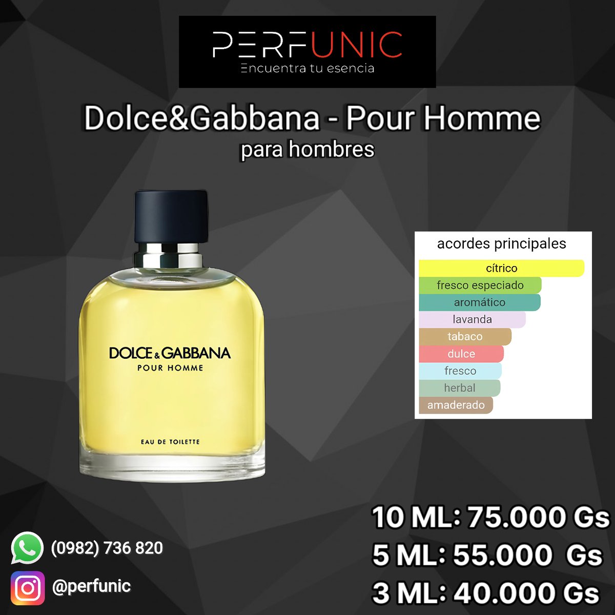 Dolce&Gabbana Pour Homme