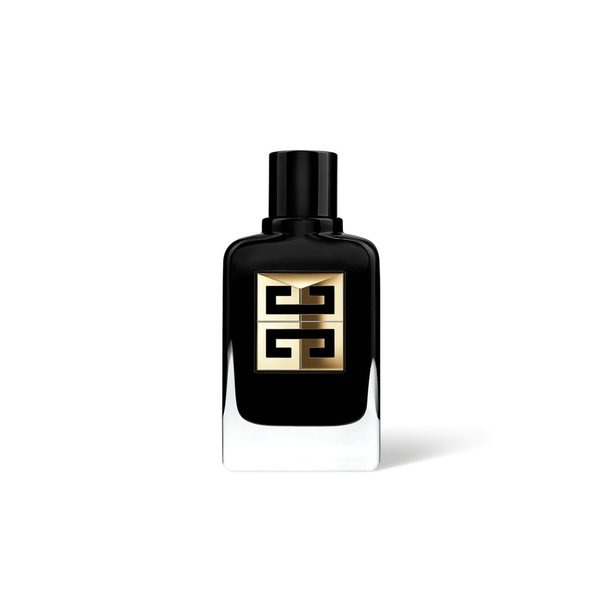 Gentleman Society Ambrée