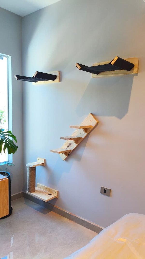 Circuito completo de Pared para 2 Gatos 