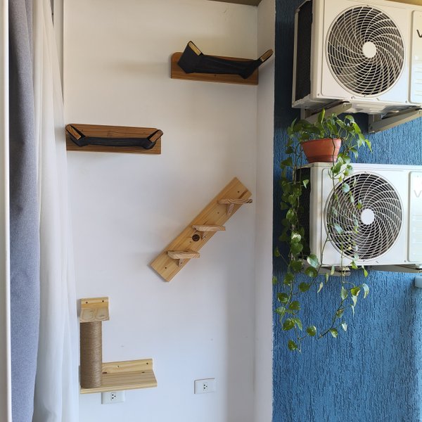 Circuito completo de Pared para 2 Gatos 