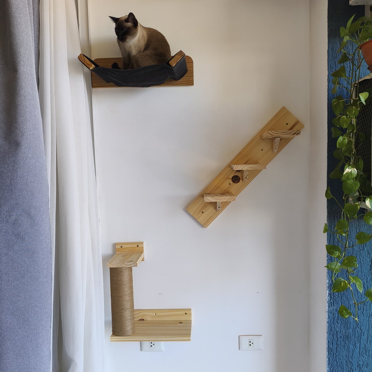 Circuito completo de Pared para 2 Gatos  - 3