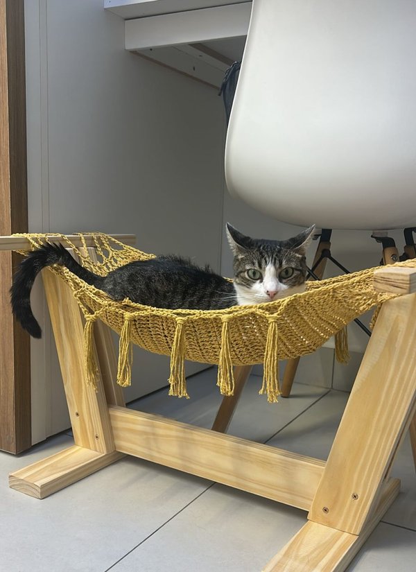 Cama Hamaca de Piso para Gatos 