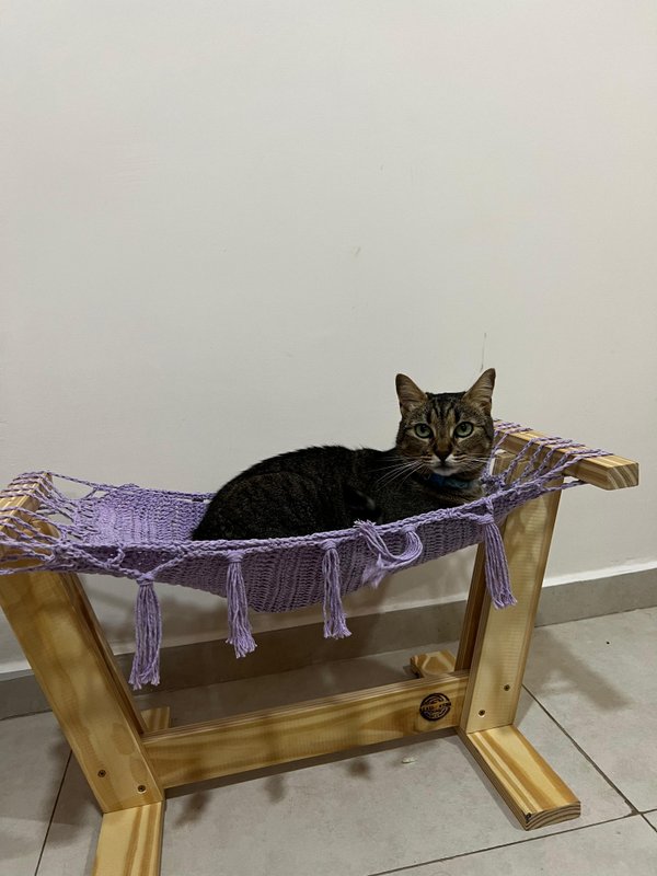 Cama Hamaca de Piso para Gatos 