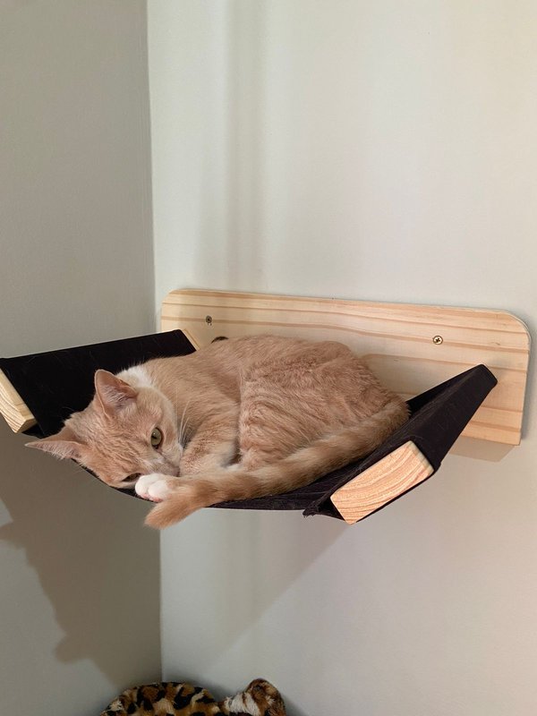 Hamaca Flotante para Gatos de Pared 