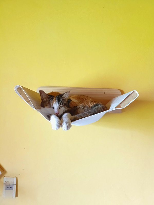 Hamaca Flotante para Gatos de Pared 