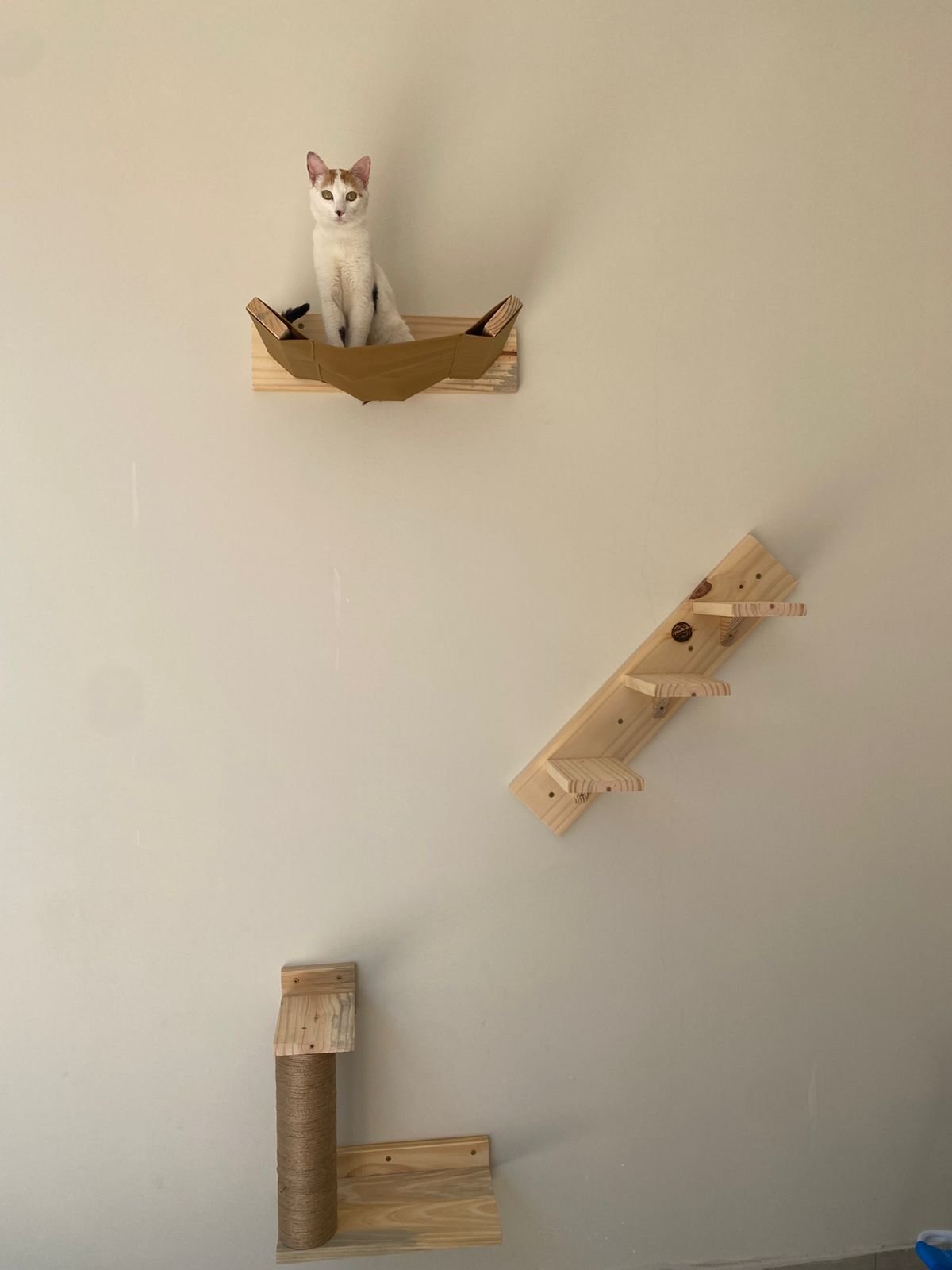 Circuito Simple de Pared para Gatos - 3