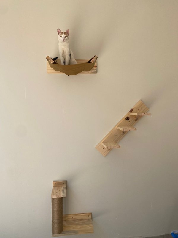 Circuito Simple de Pared para Gatos