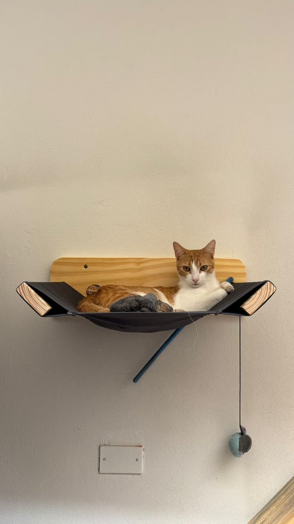 Hamaca Flotante para Gatos de Pared 