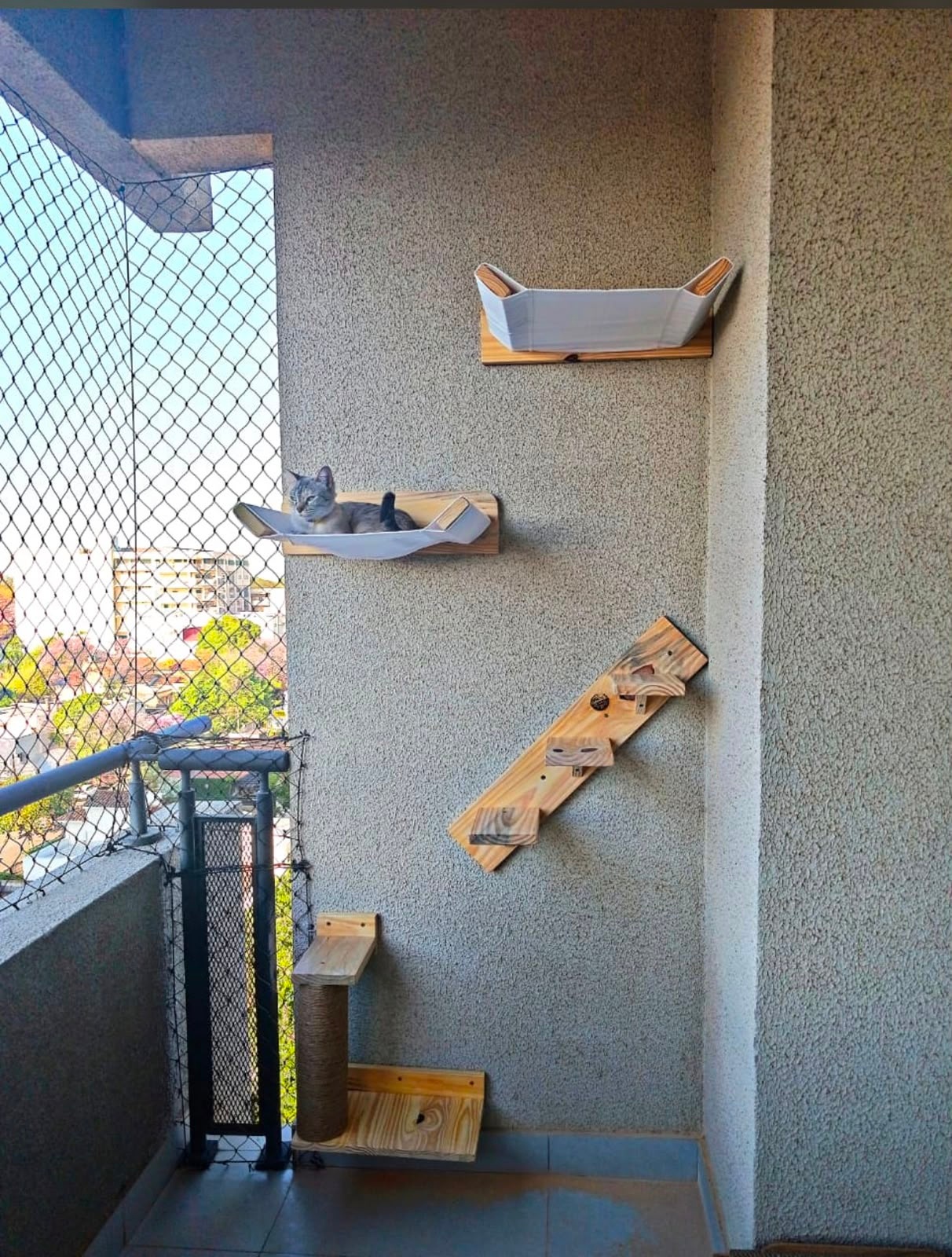 Circuito completo de Pared para 2 Gatos