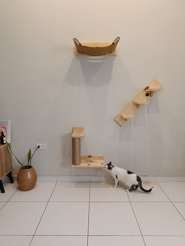 Circuito Simple de Pared para Gatos