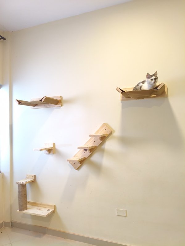 Escalón individual 