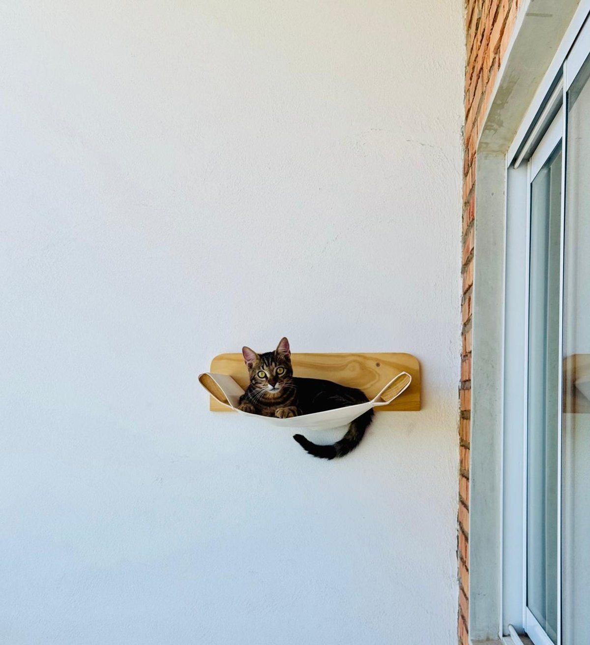 Hamaca Flotante para Gatos de Pared  - 3