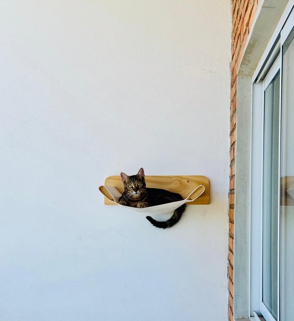 Hamaca Flotante para Gatos de Pared 
