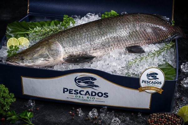 Paiche Entero Premium