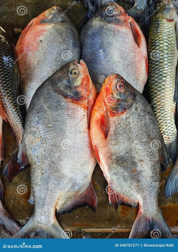 PACU