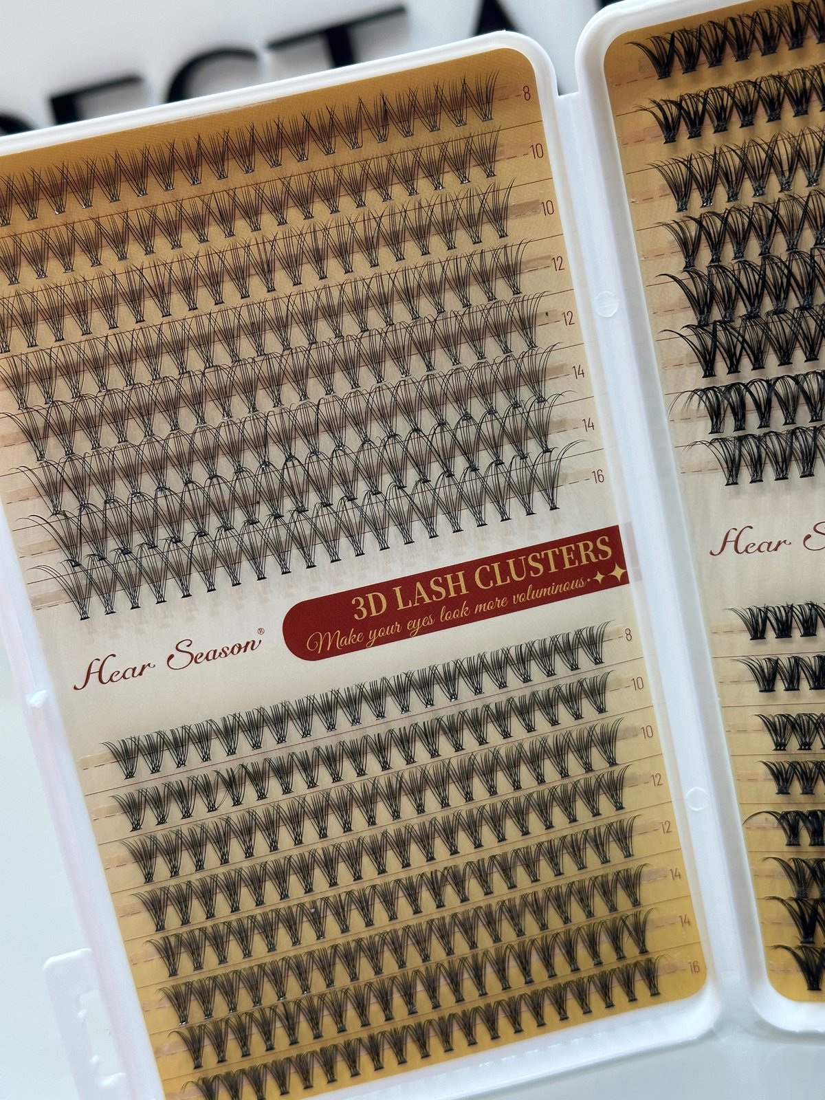Libro efecto extensiones 0109 - 2