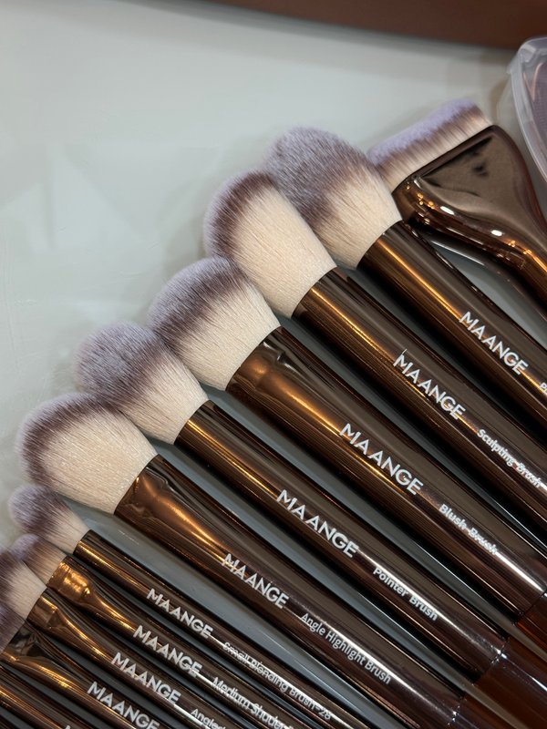 Set de 17 piezas brochas profesionales MAANGE