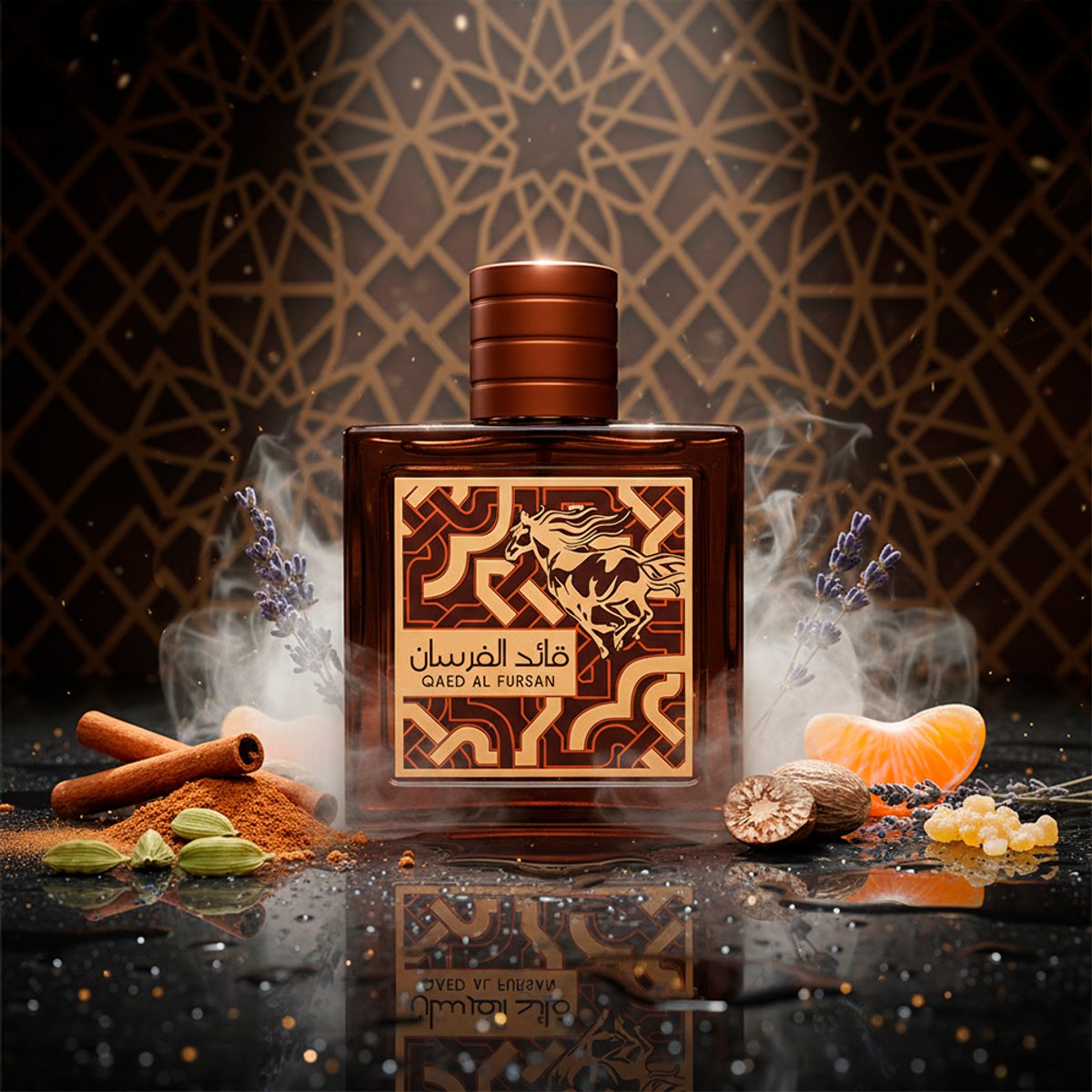 Qaed Al Fursan Untamed