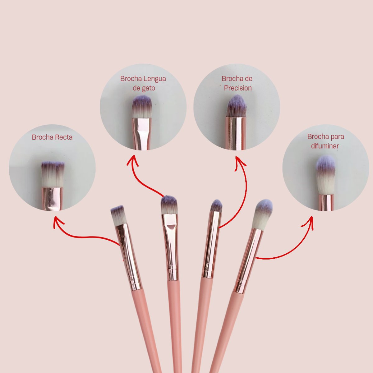 Set de brochas para ojos