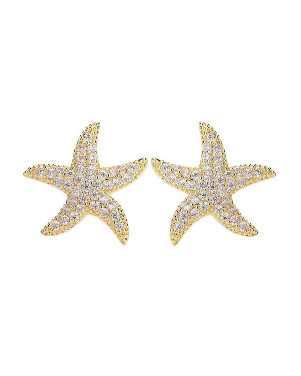 Aretes Star Shine 