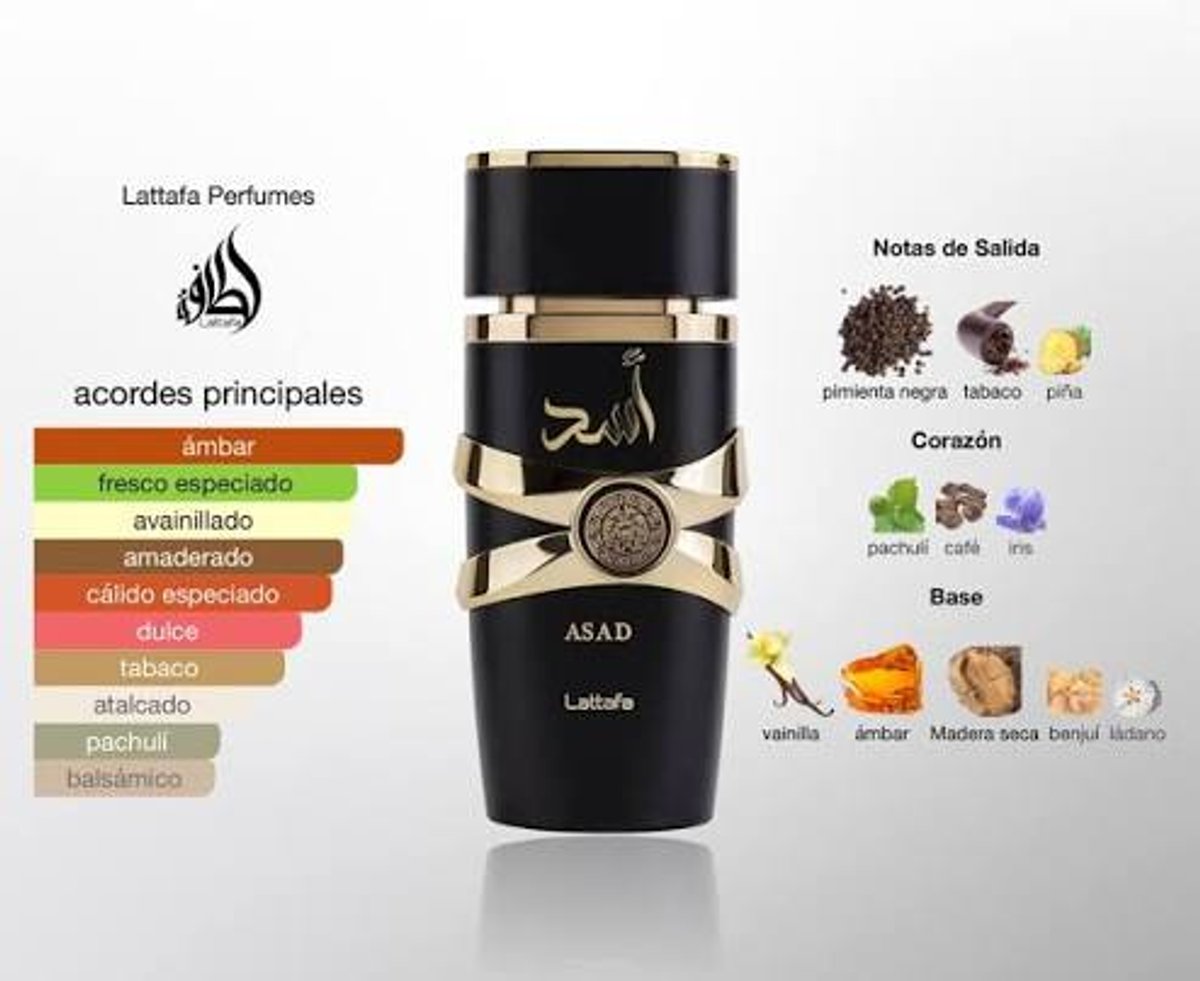 Asad Lattafa - 2