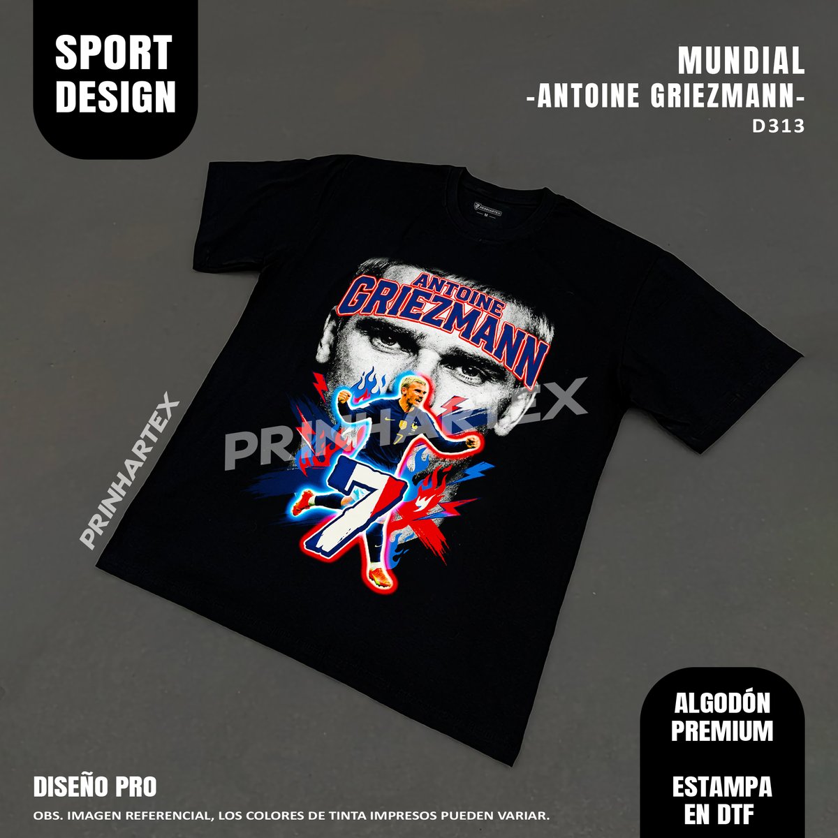 Antoine Griezmann-D313