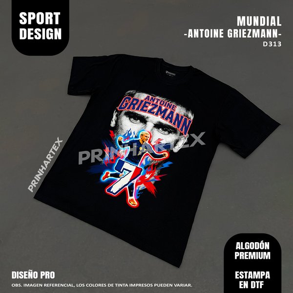 Antoine Griezmann-D313