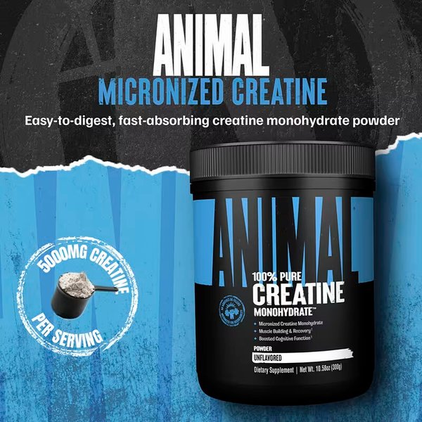 Creatina Animal USA