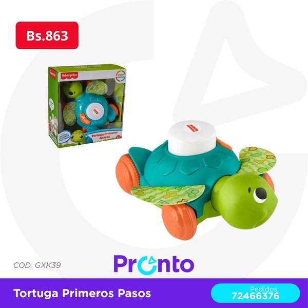 Tortuga Primeros Pasos