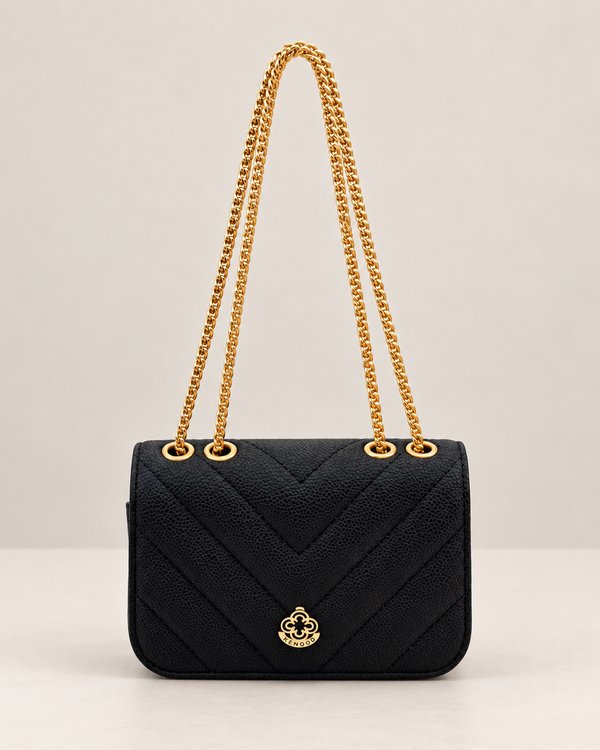 Colección Aurelia