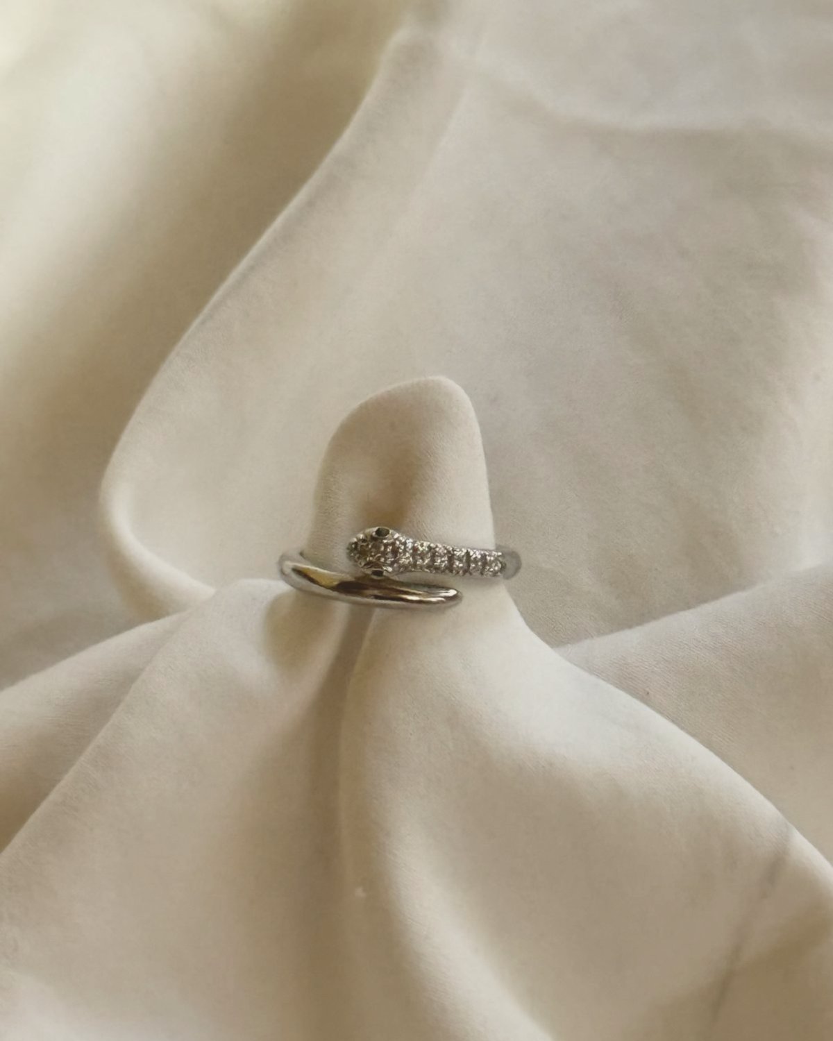 Serpiente Silver - 2