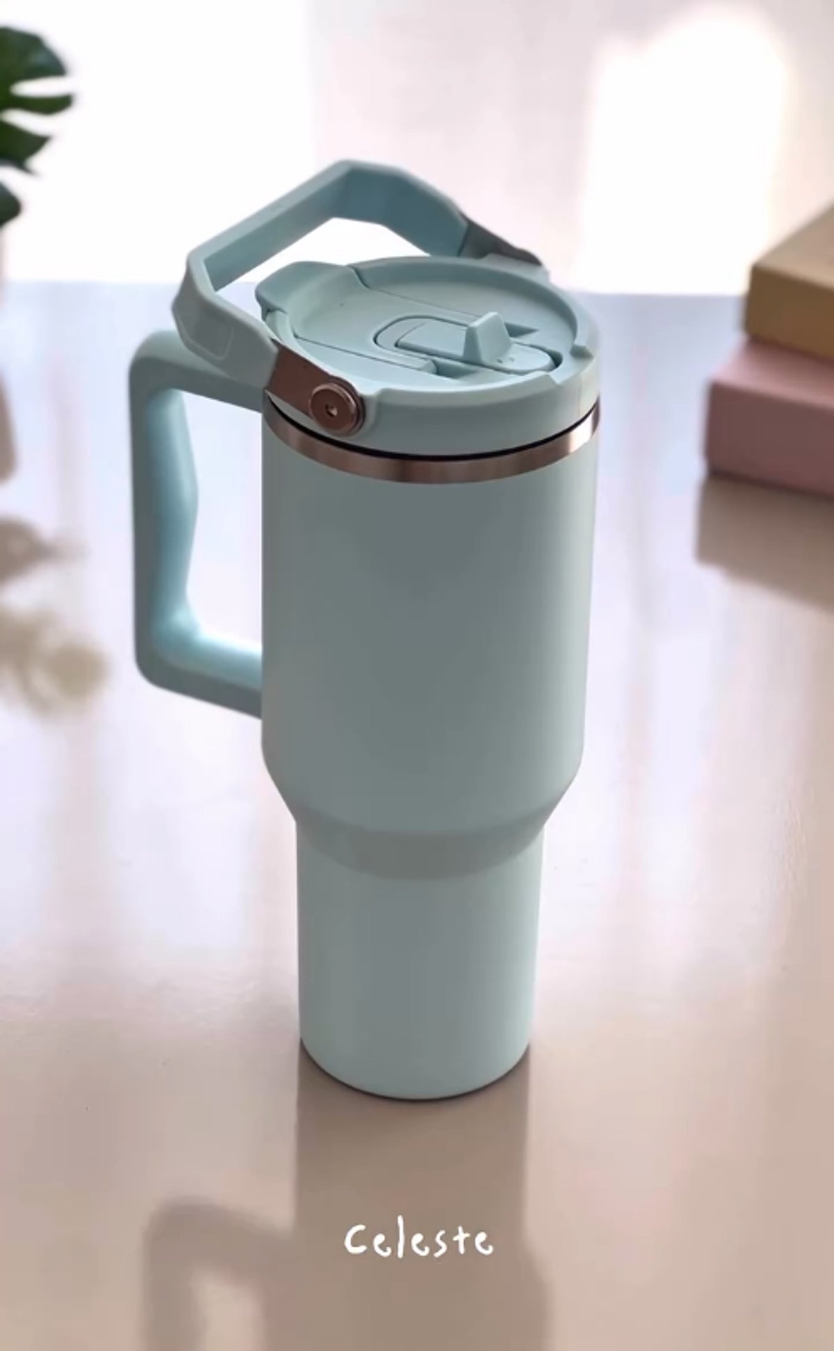 Termo Carry Cup - 7