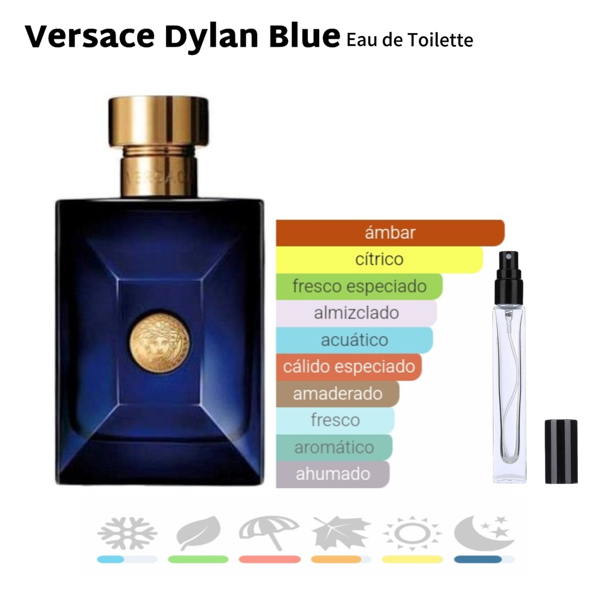 Versace Dylan Blue