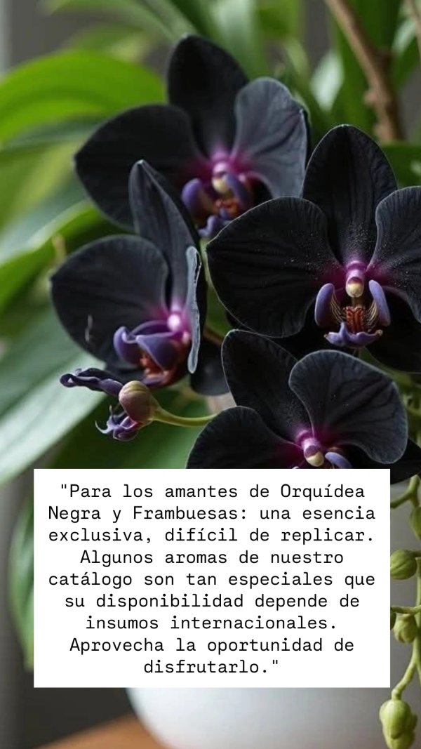 Difusores Vidrio 150 ml Línea Minimalist 