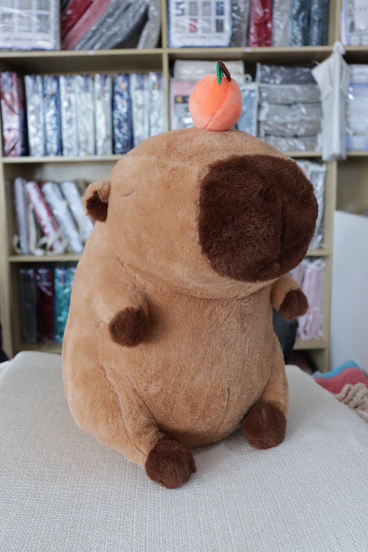 Capibara con Mantas - 6