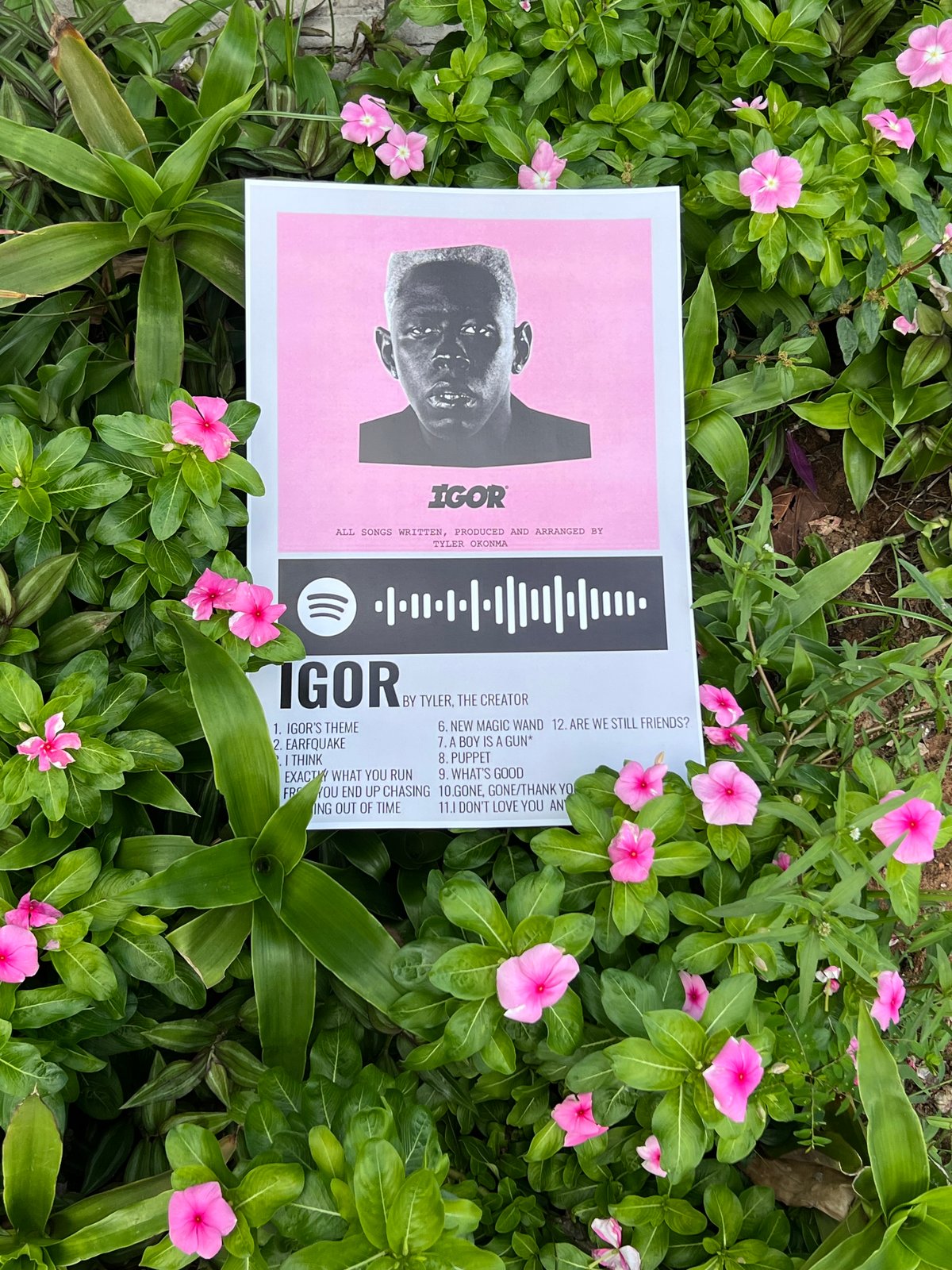 Posters personalizados