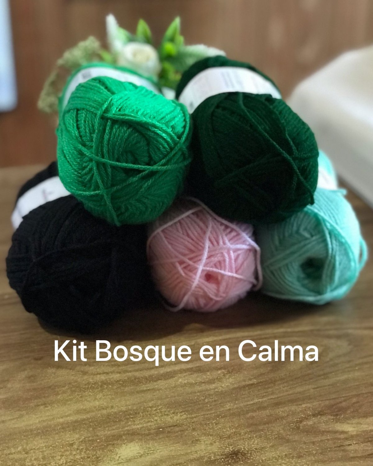COLECCIÓN NATURALEZA & BOSQUE