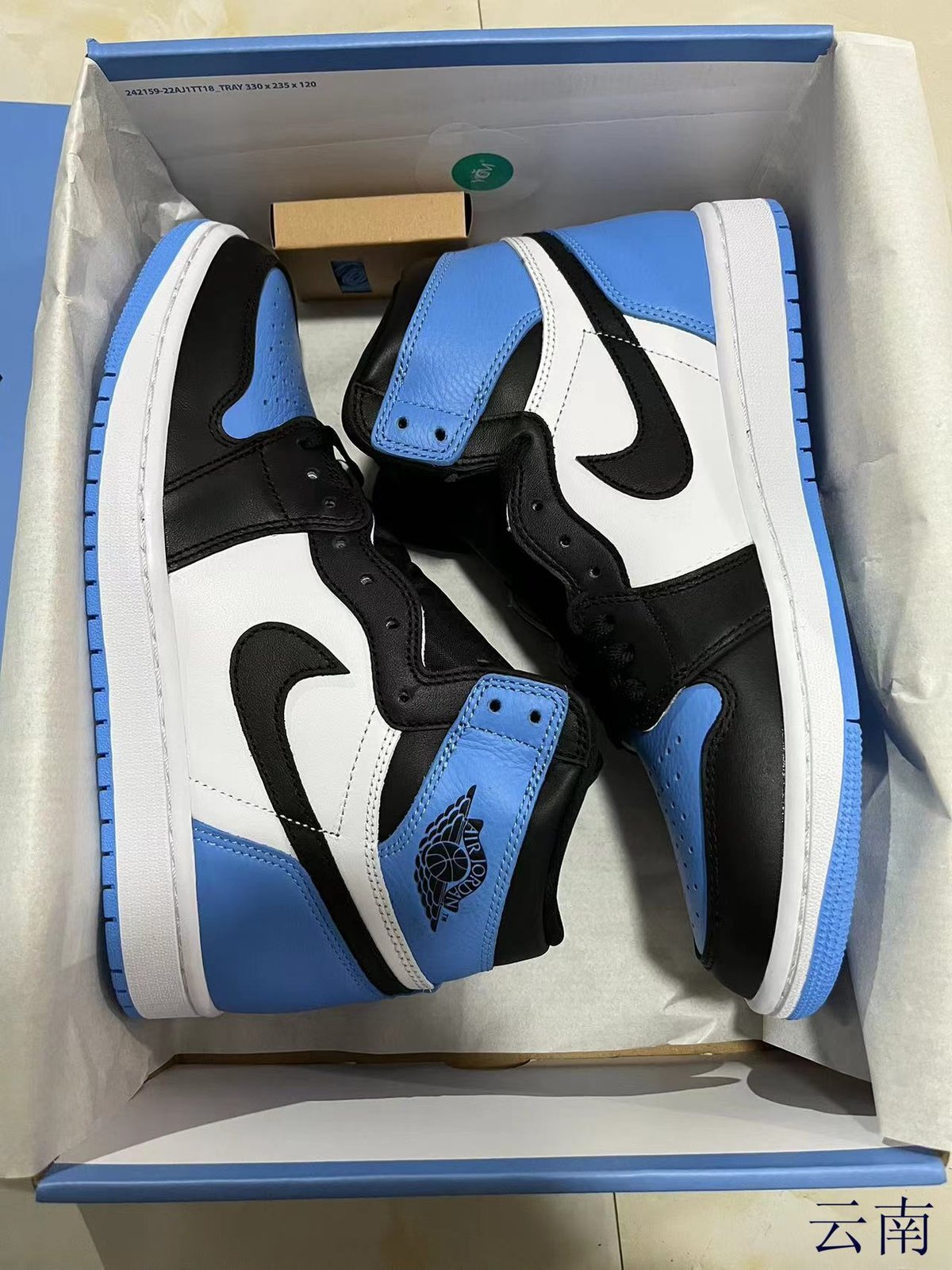 Jordan 1 Blue - 2