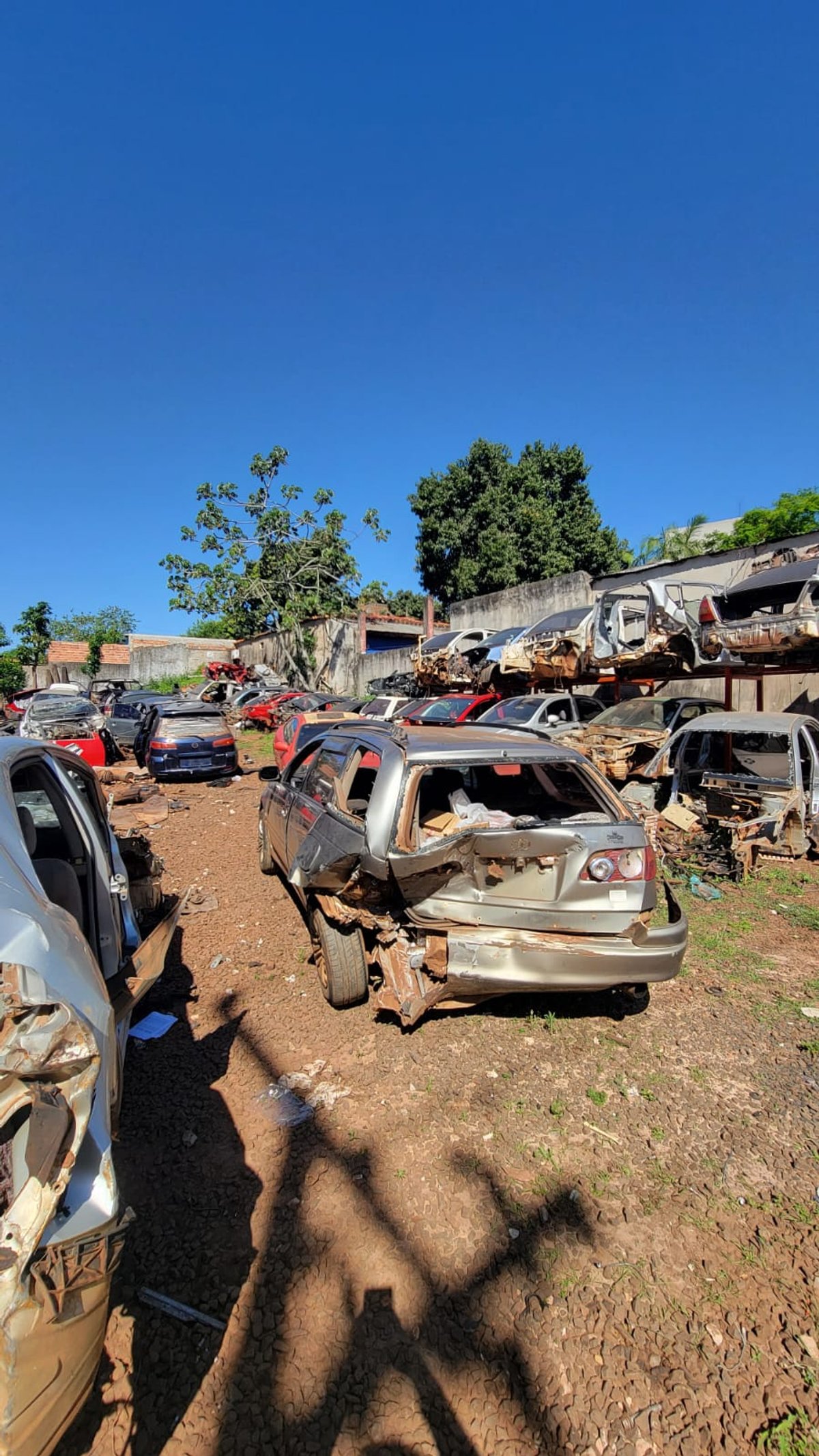 Caldina en DESARME UD84 - 3