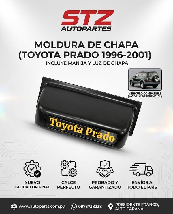 Moldura De Portón Con Luz y Manija TY Prado 1996-2001
