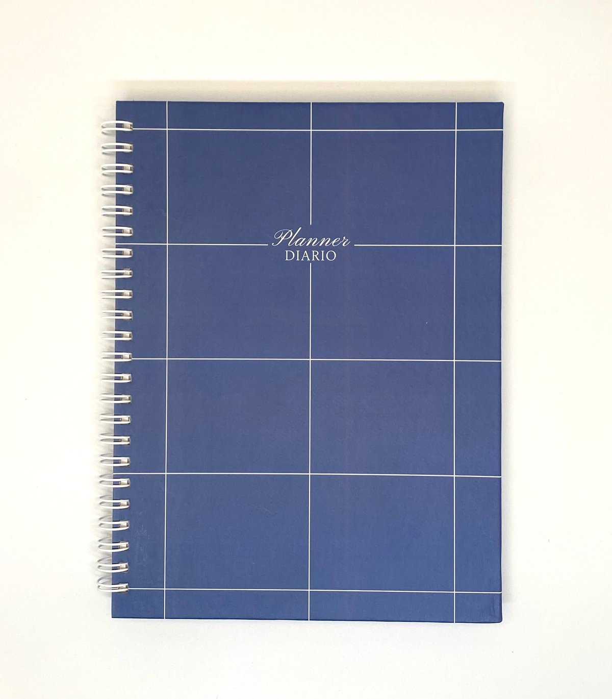Planner Diario Azul