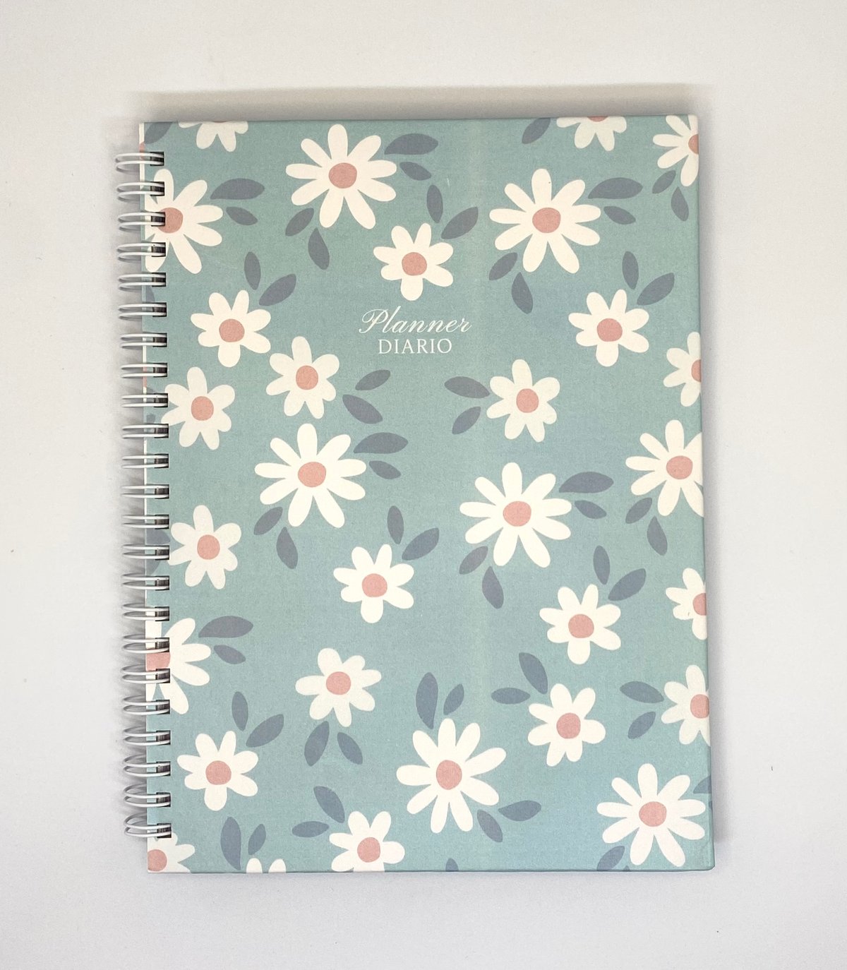 Planner diario Celeste