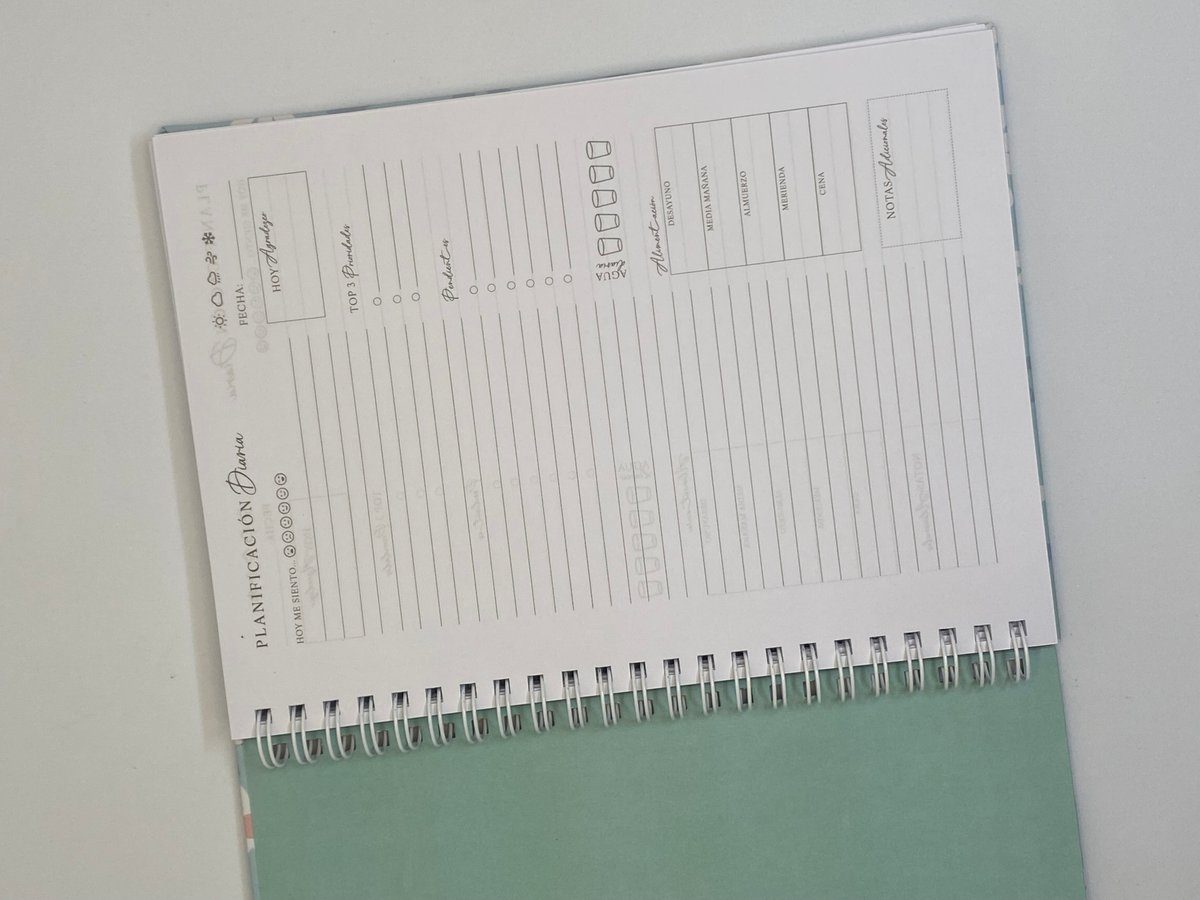 Planner diario Celeste - 2