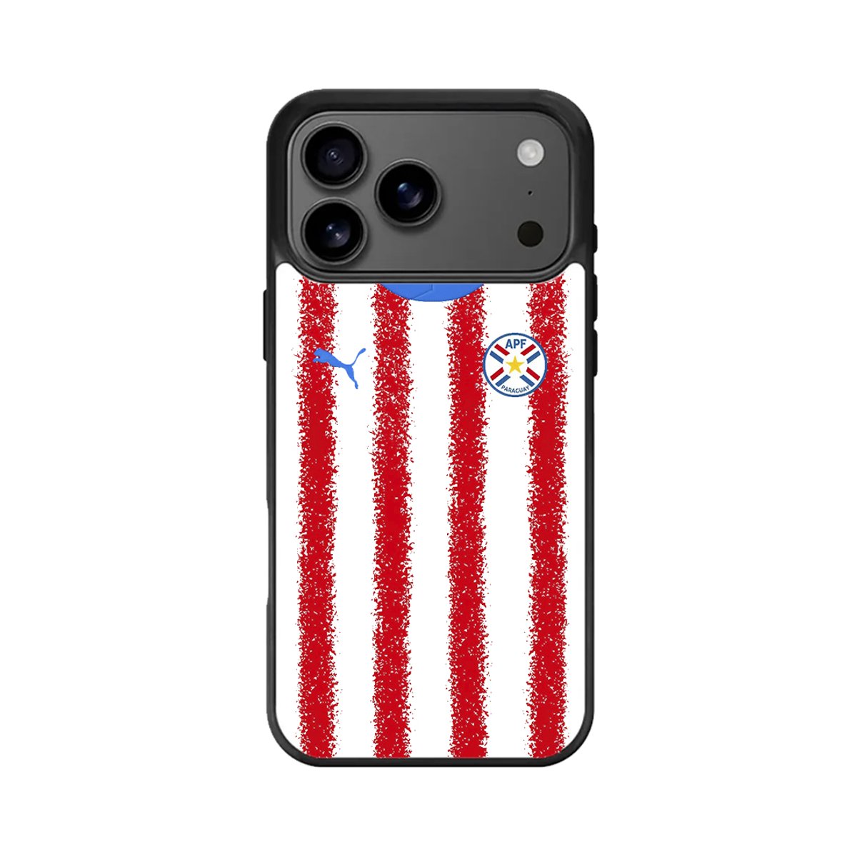 Case Personalizado Paraguay - 3