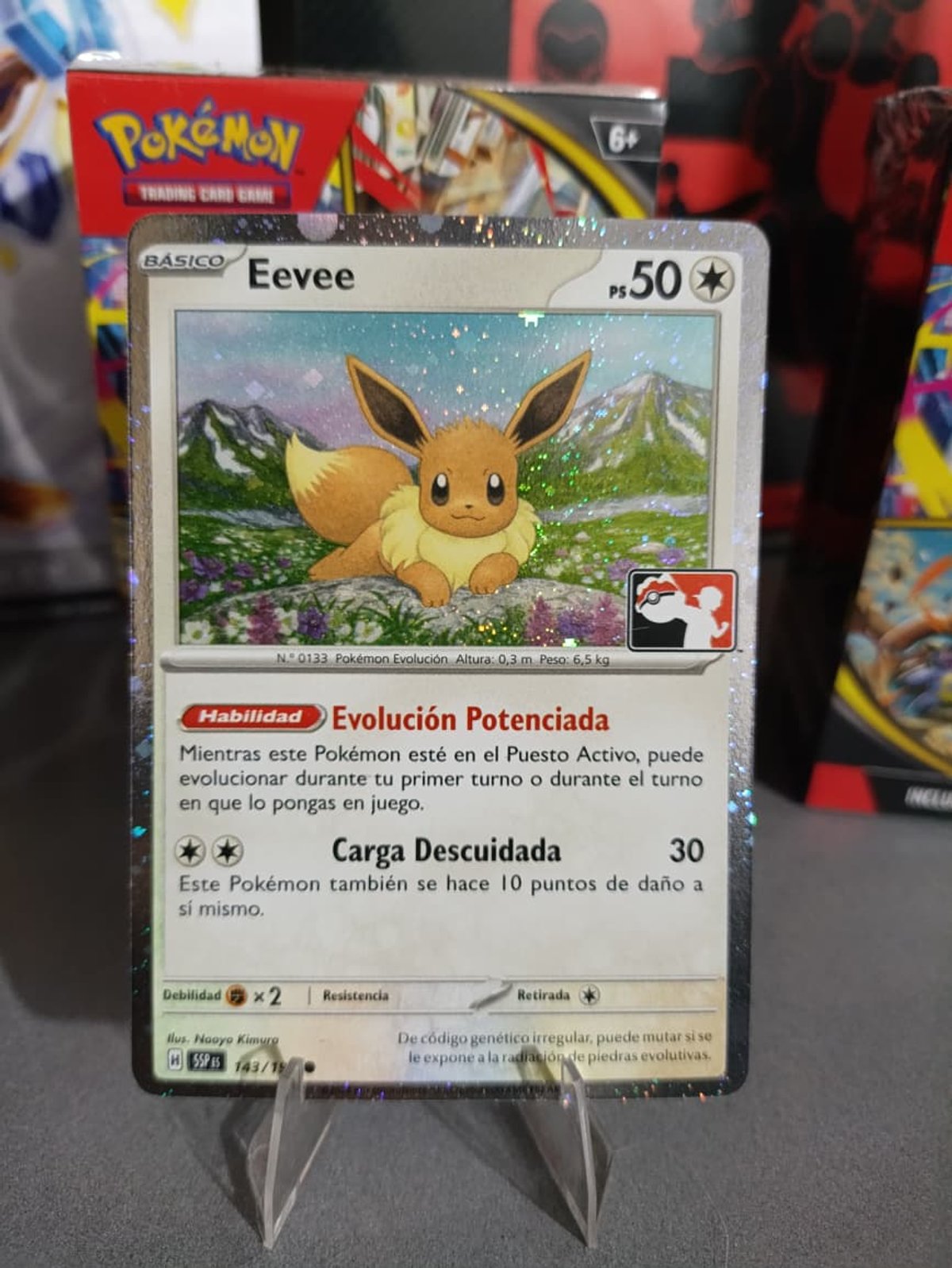 Eevee [Paquete de premios] 143