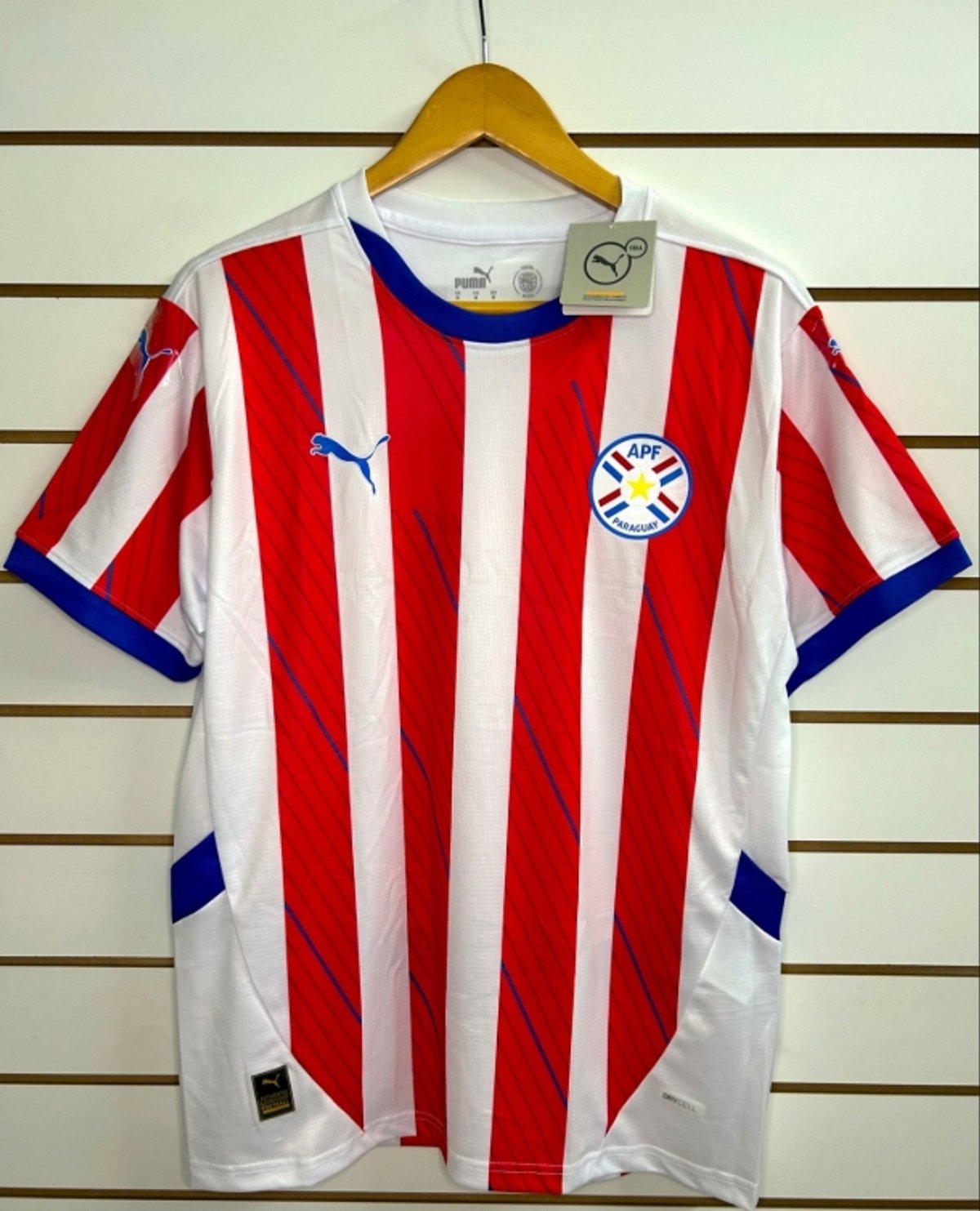 Paraguay 2025 (Termosellado)