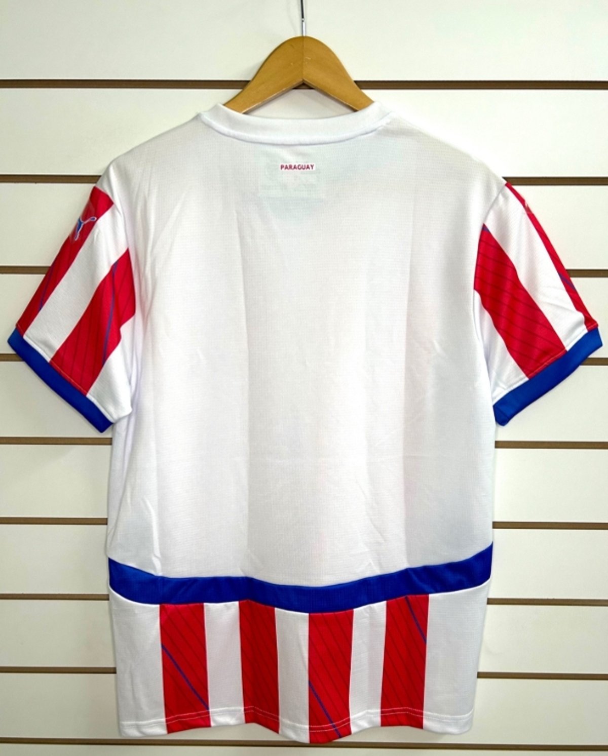 Paraguay 2025 (Termosellado) - 2