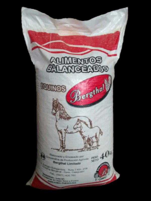 EQUINO DE CARRERA (BERTHAL)