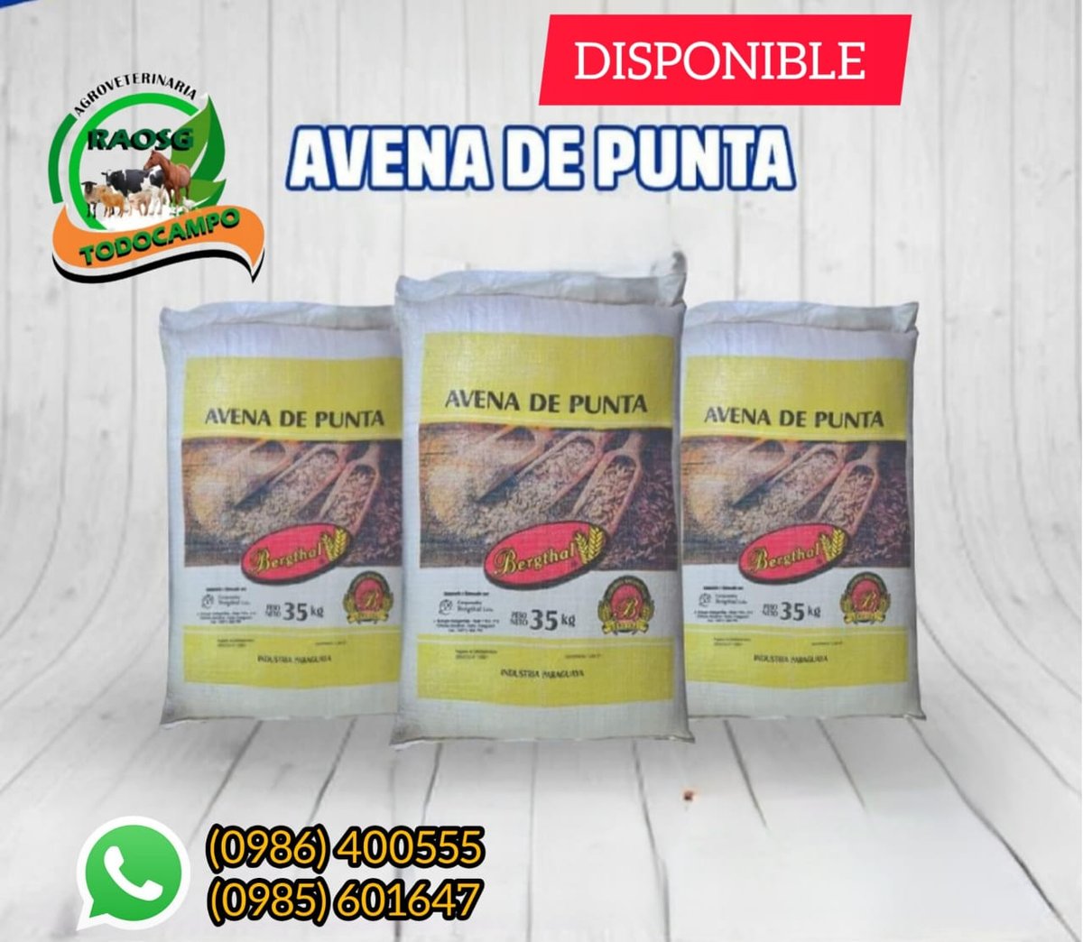 AVENA DE PUNTA (BERTHAL)